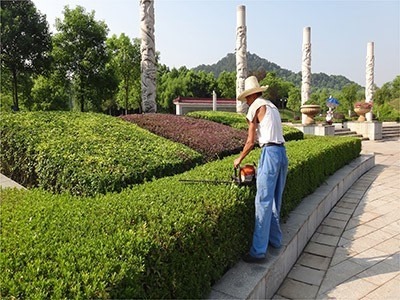 韶關市專業園林綠化 從草坪養護到綠化工程的全方位服務